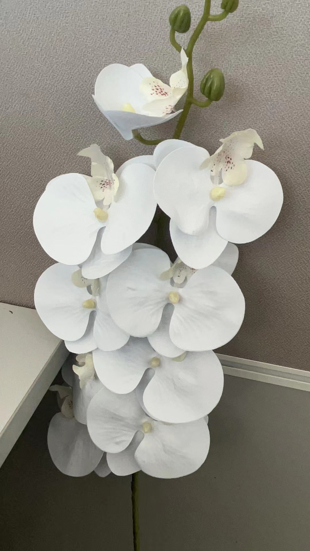 Orchid Stems Artificial Flowers Real Touch Latex Faux Phalaenopsis Branches 9 Large Blooms 38 Inches 2pcs White